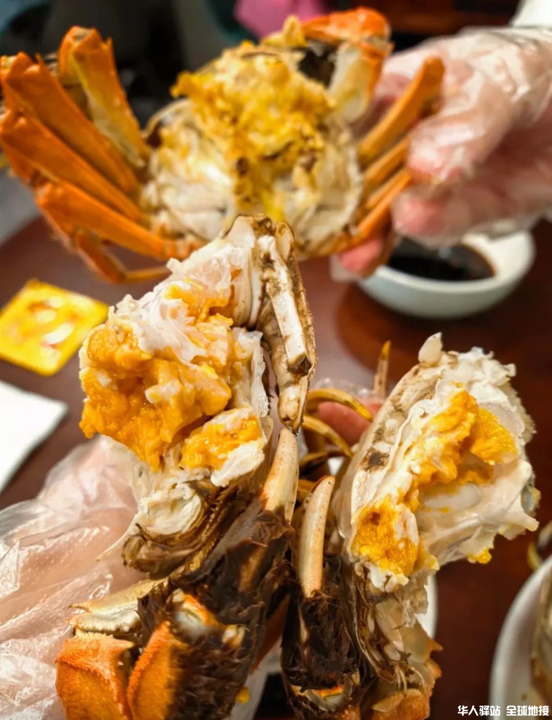 阳澄湖吃蟹一日游1.jpg